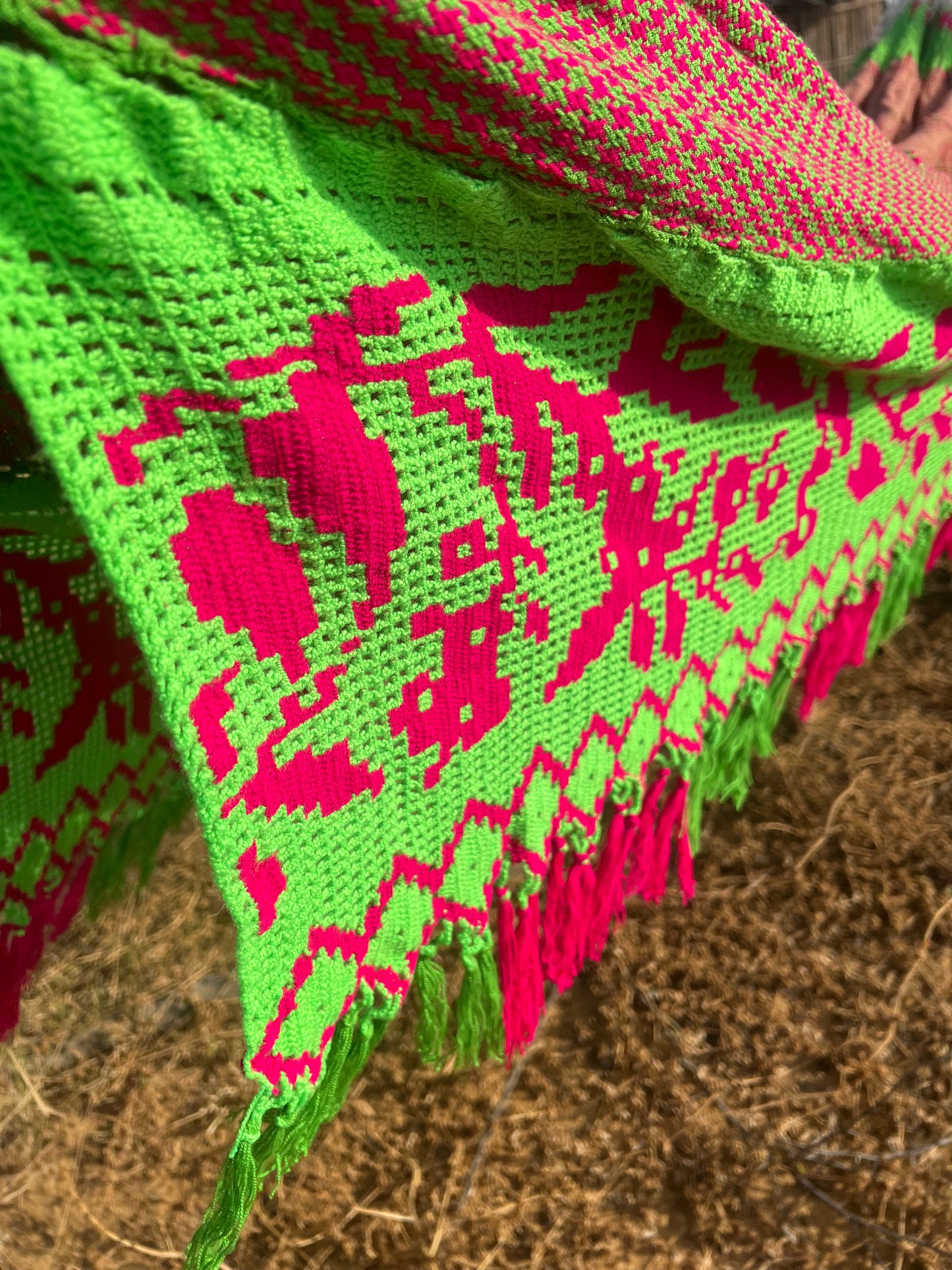 Chinchorro Wayuu Grande Bicolor